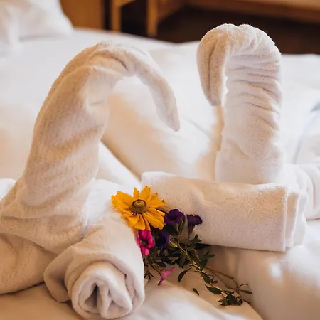 Apart-hotel Aparthotel Maso Corto Maso Corto